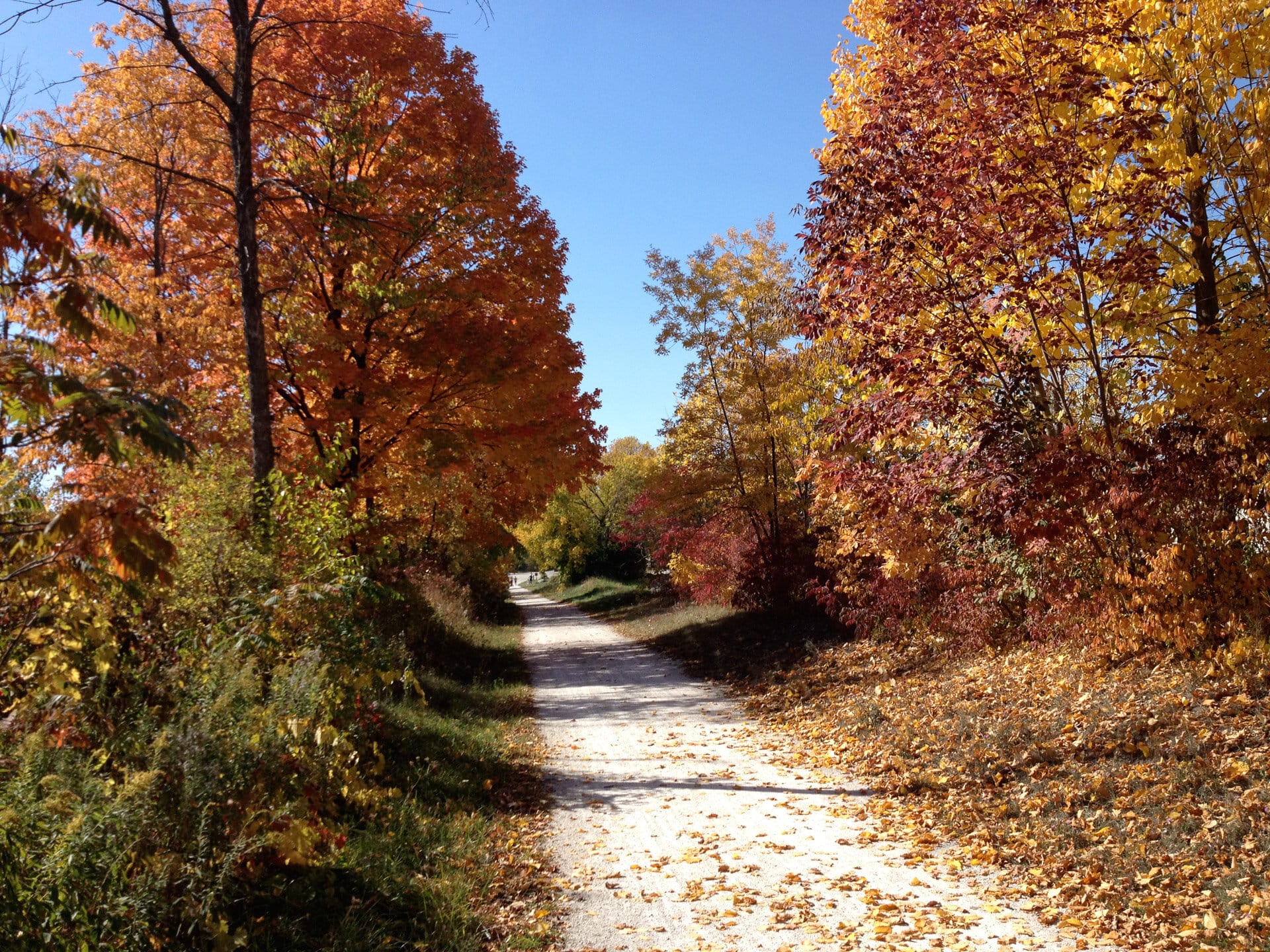 fall bike path